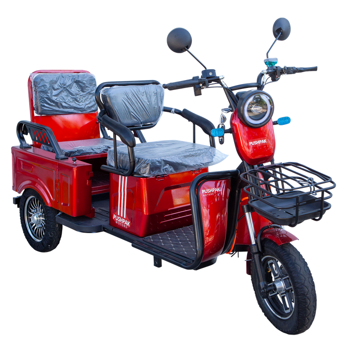 Pushpak Motors Pushpak 3000 2-Person Electric Mobility Scooter